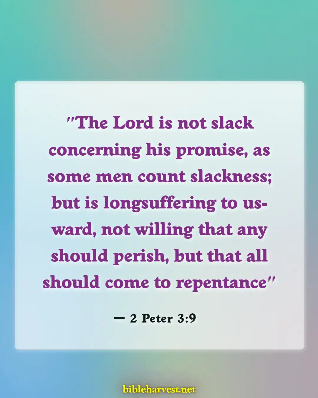 Bible Verses About God's Timing (2 Peter 3:9)