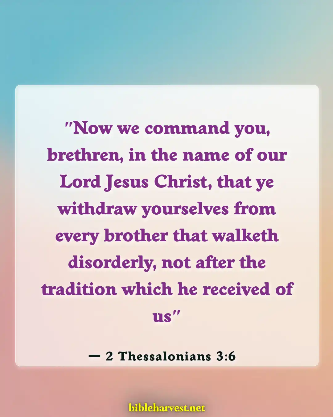 Bible Verses About Someone Taking Advantage Of You (2 Thessalonians 3:6)