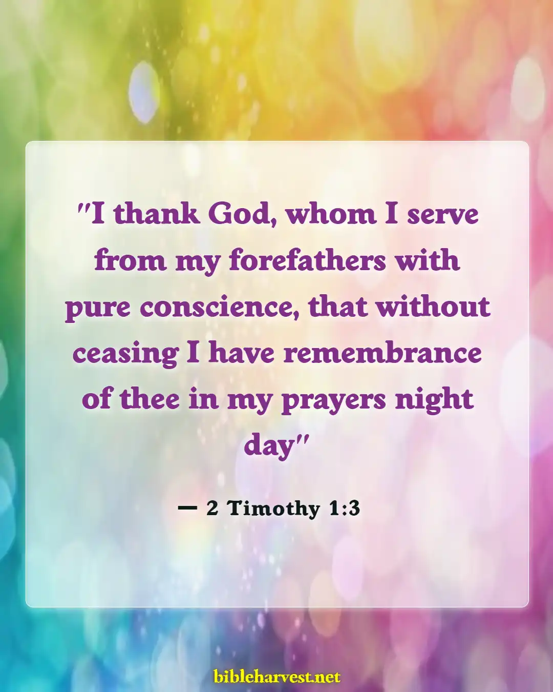 Bible Verses About Gratitude For Family (2 Timothy 1:3)