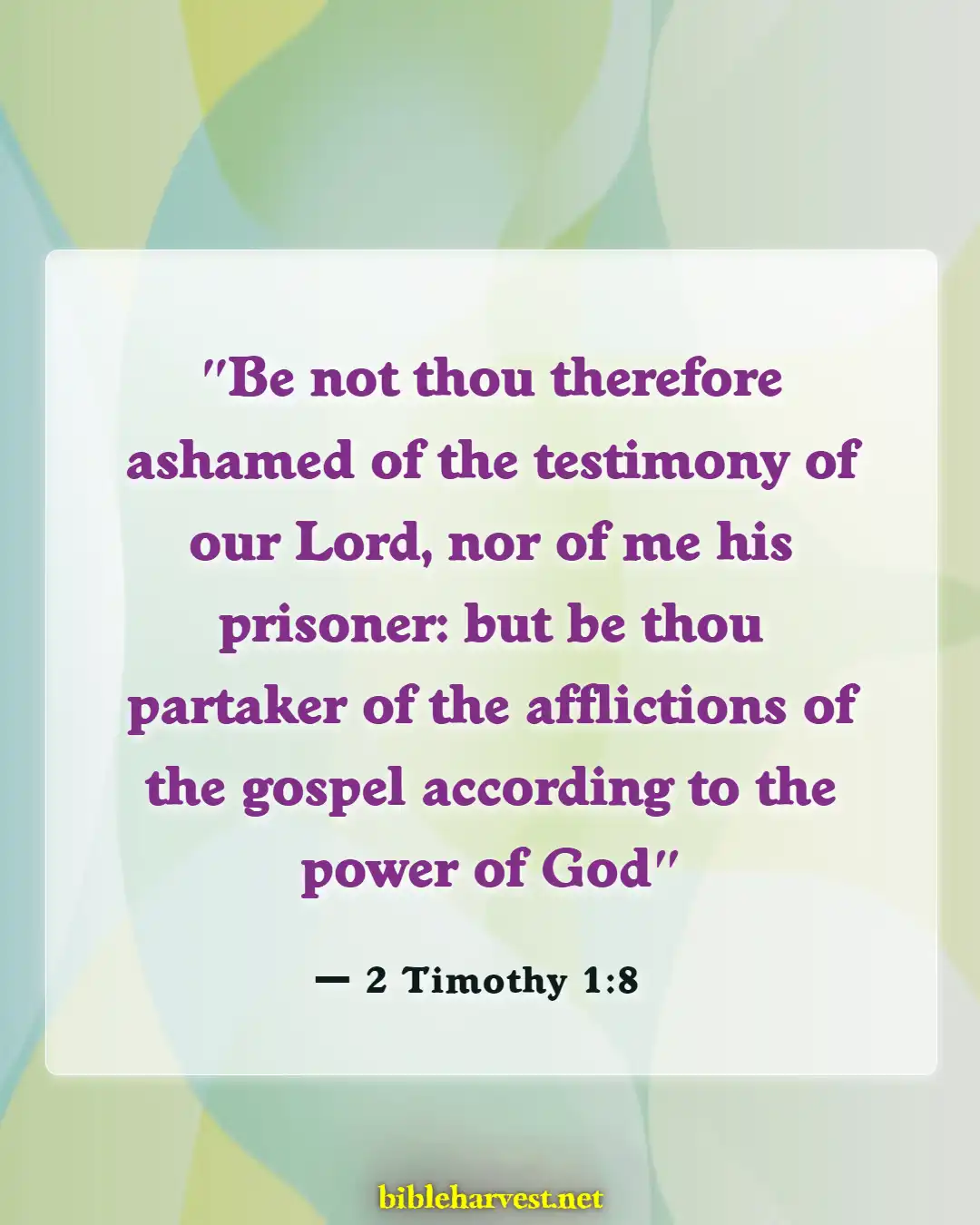 Bible Verses About Testimony (2 Timothy 1:8)