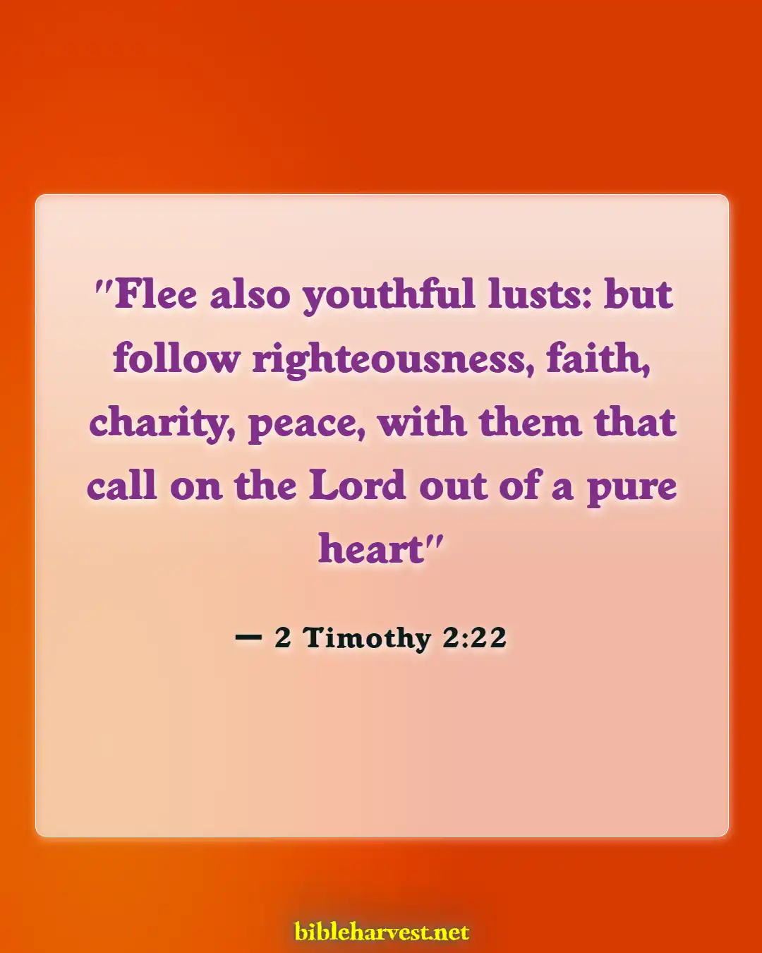 Bible Verses About Righteousness (2 Timothy 2:22)