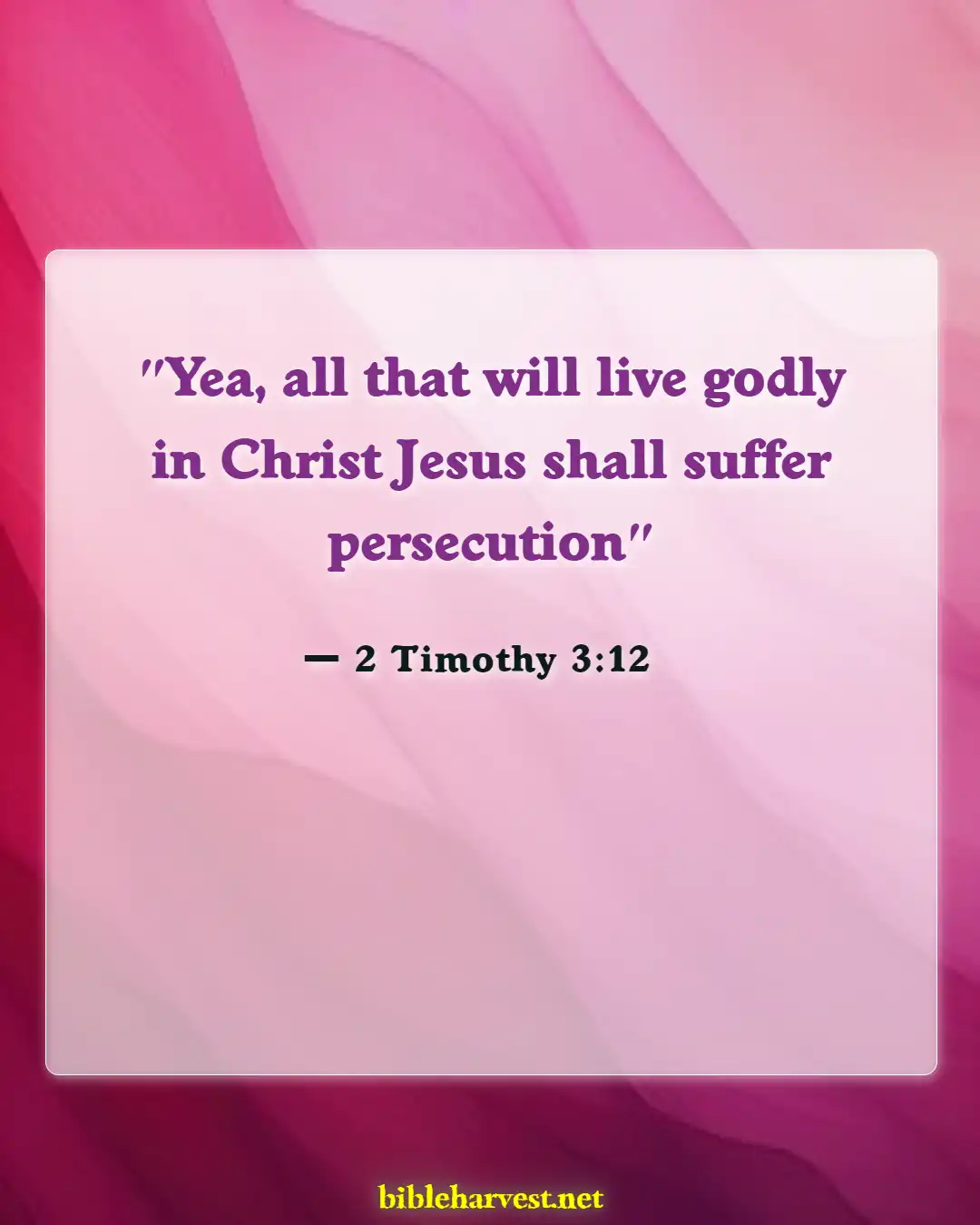 Bible Verses About Persecution (2 Timothy 3:12)