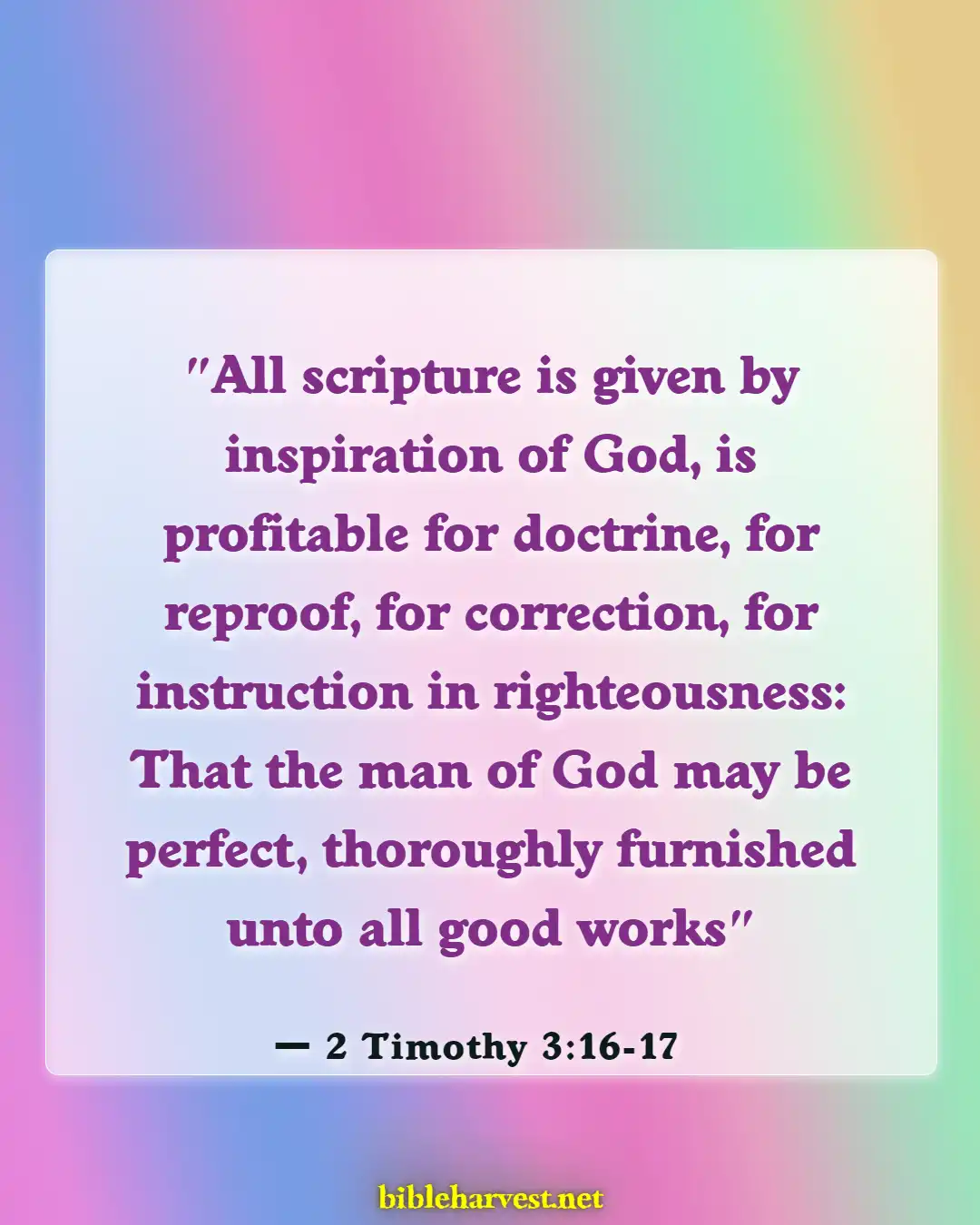 Bible Verses About Commitment To Ministry (2 Timothy 3:16-17)