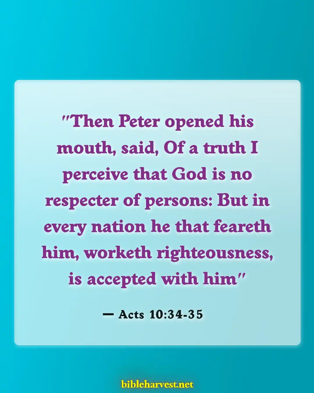 Bible Verses About Acceptance (Acts 10:34-35)
