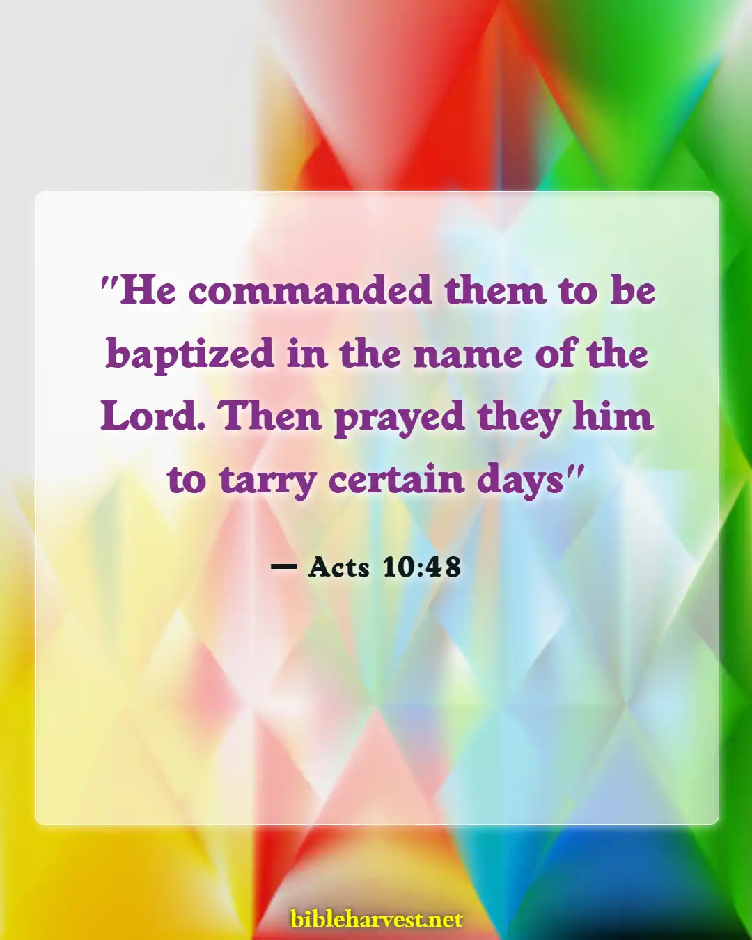 Bible Verses About Sacrament Of Baptism (Acts 10:48)