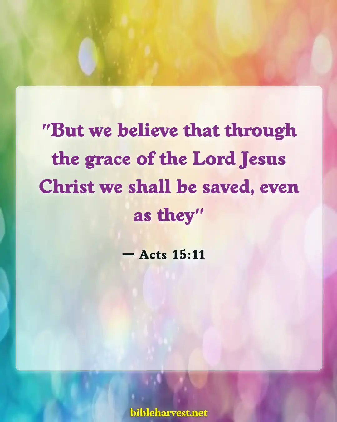 Bible Verses About Grace And Forgiveness (Acts 15:11)
