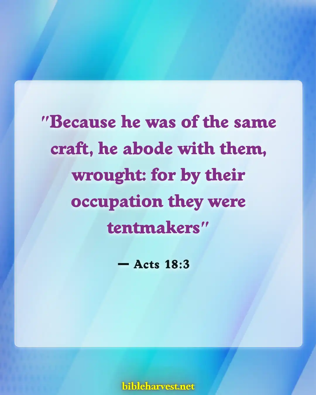Bible Verses About Success And Hard Work (Acts 18:3)