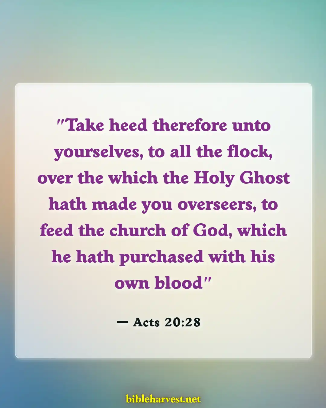 Bible Verses About Leadership In The Church (Acts 20:28)