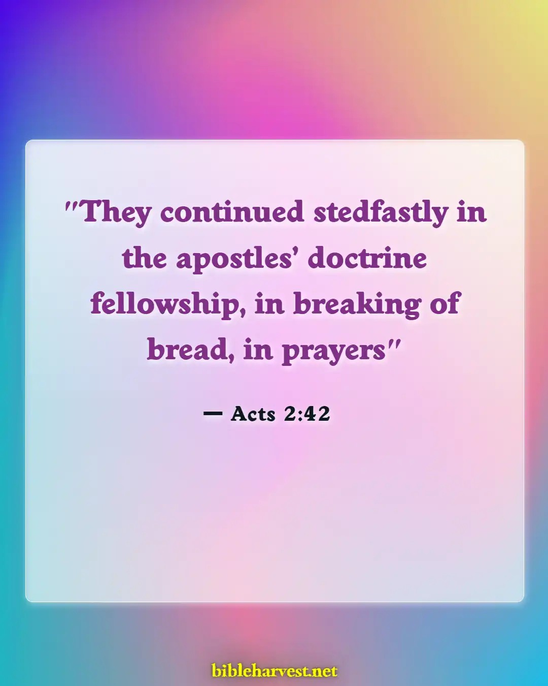 Bible Verses About Praise And Worships (Acts 2:42)