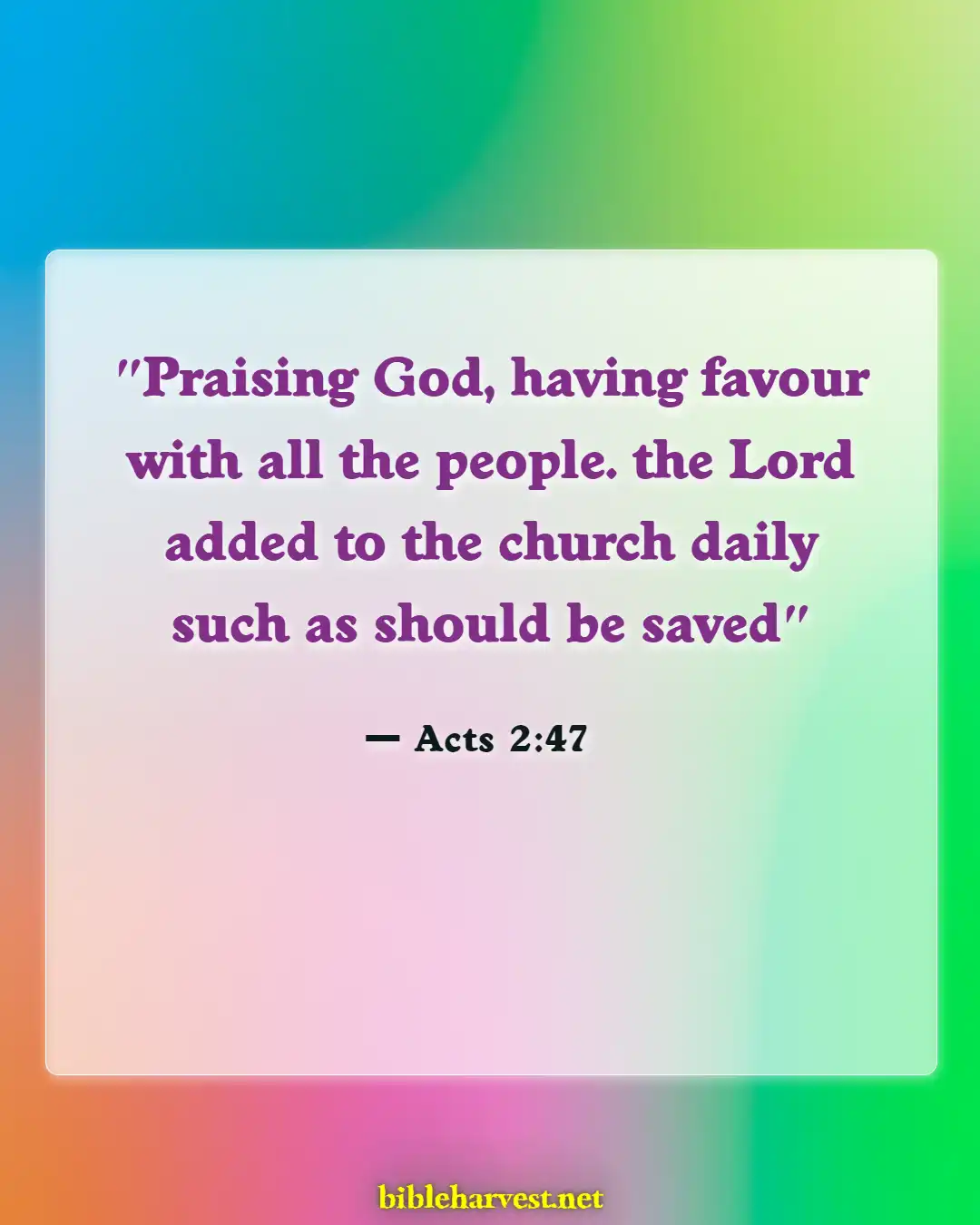 Bible Verses About Curses And Blessings (Acts 2:47)