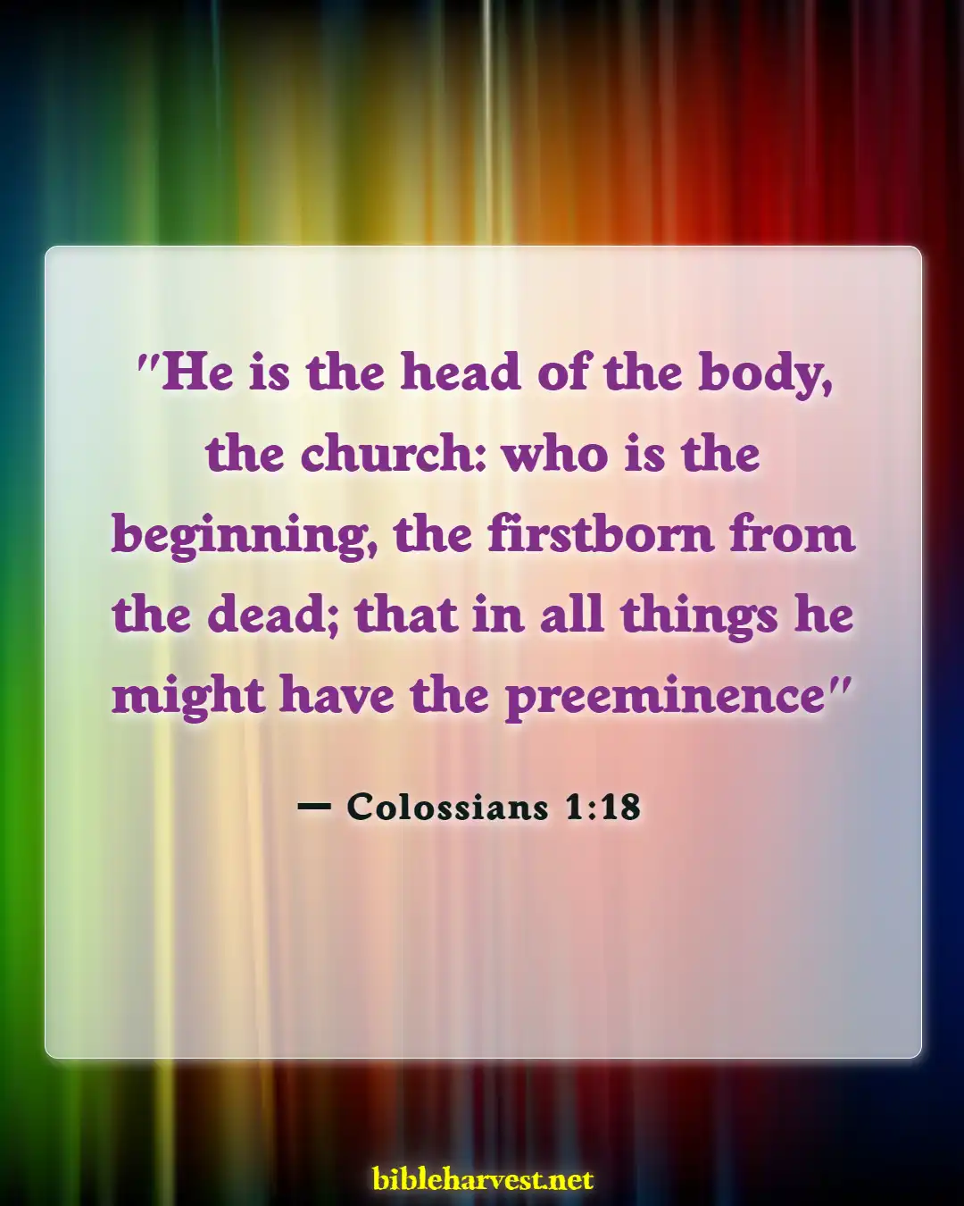 Bible Verses About Mission Of The Church (Colossians 1:18)