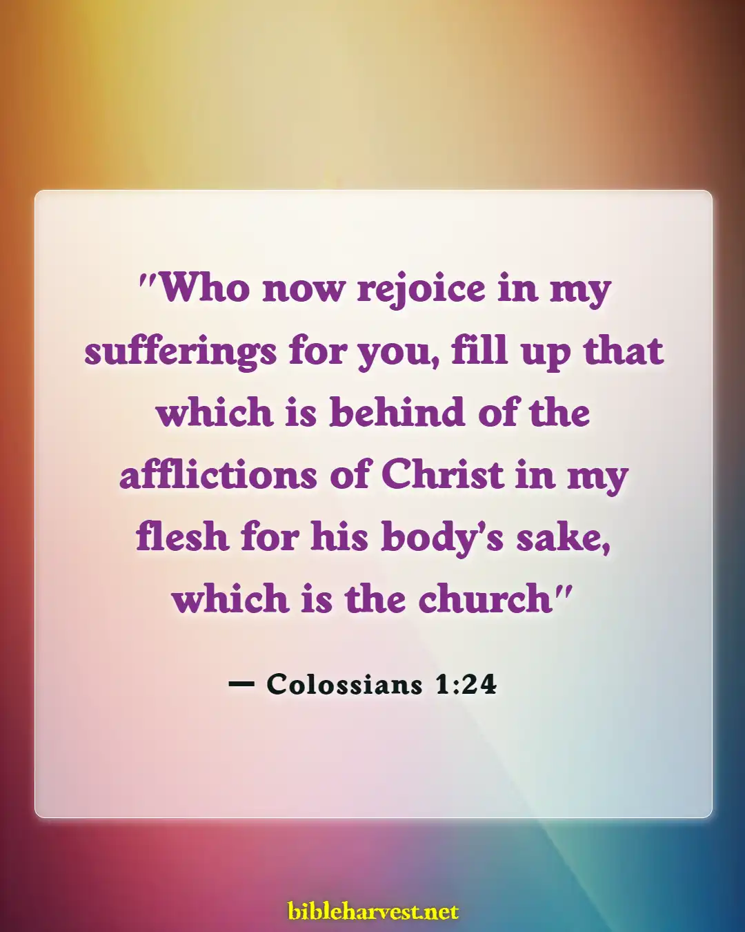 Bible Verses About Rejoice In Trials And Tribulations (Colossians 1:24)