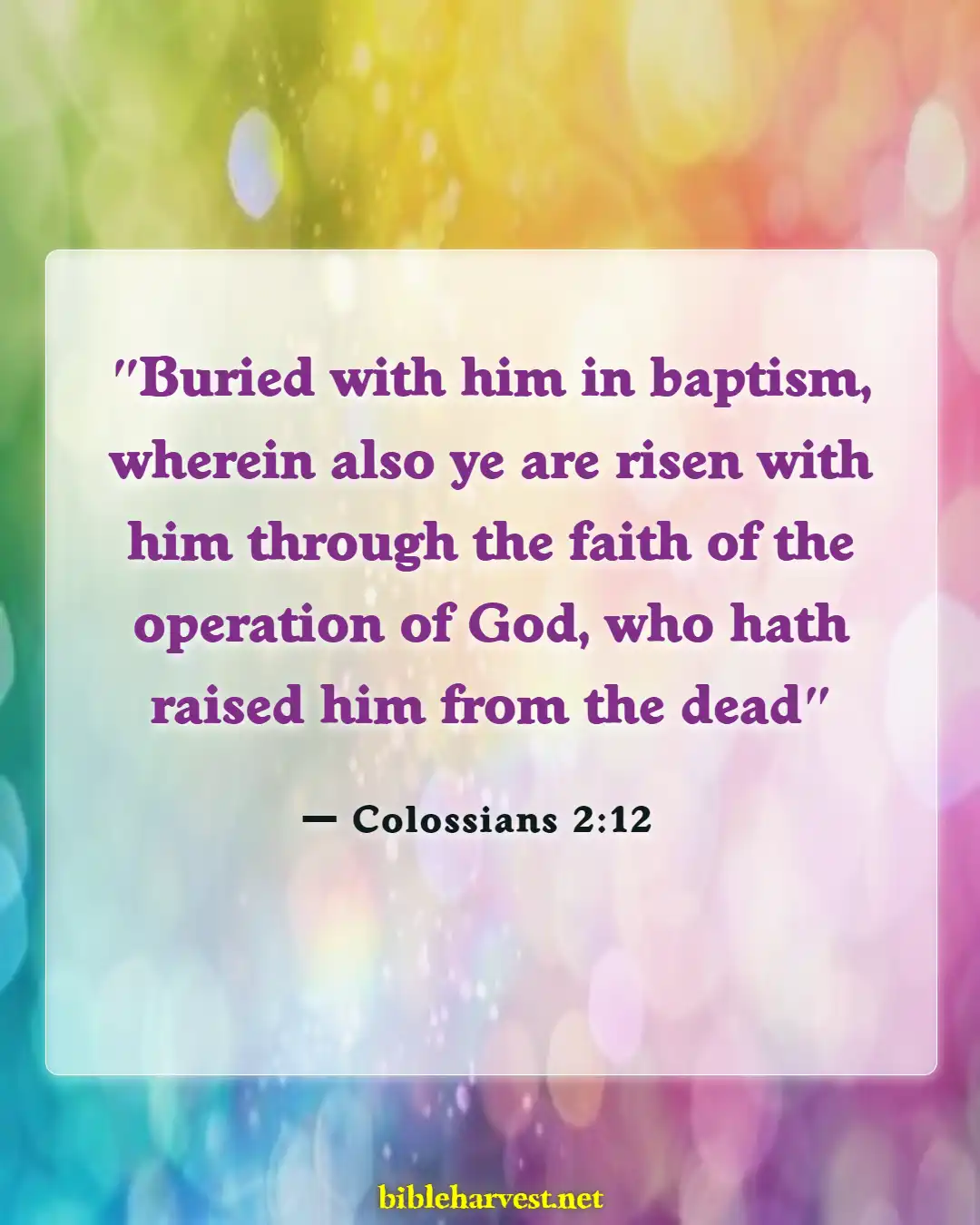 Bible Verses About Baby Dedication (Colossians 2:12)