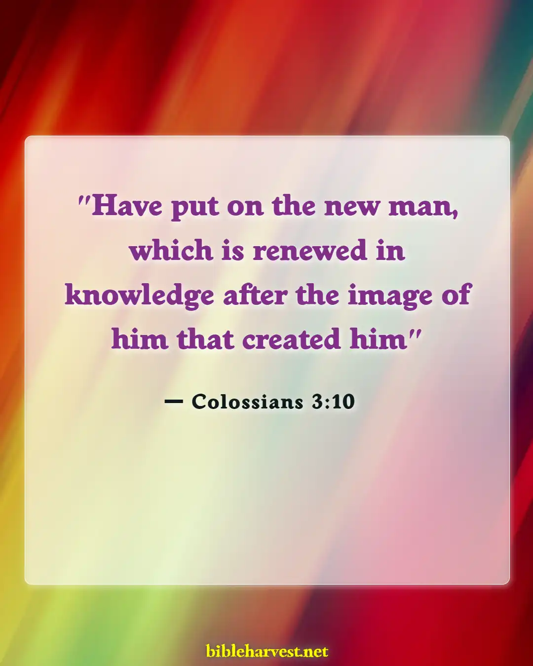 Bible Verses About Revival And Spiritual Awakening (Colossians 3:10)