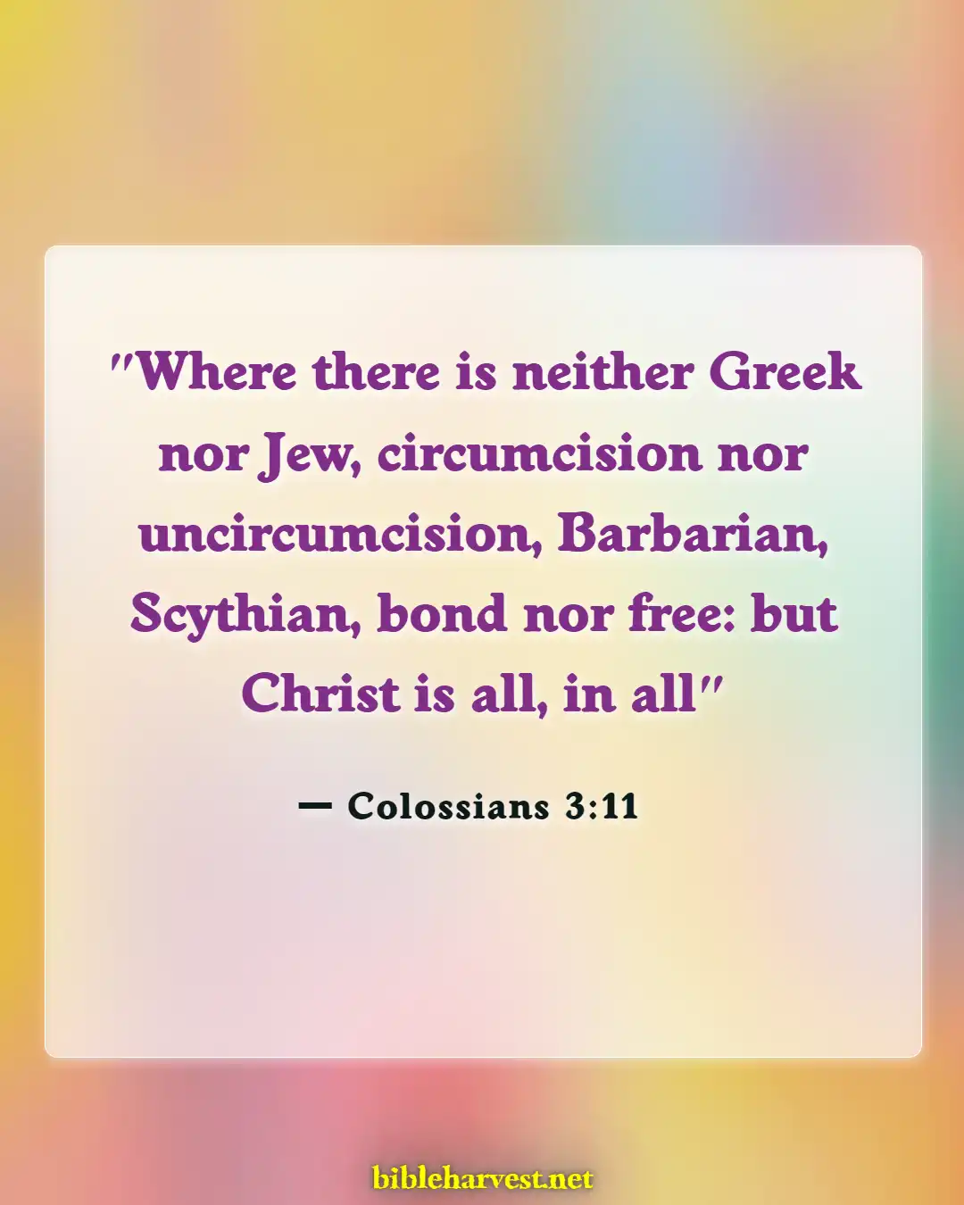 Bible Verses About Acceptance (Colossians 3:11)