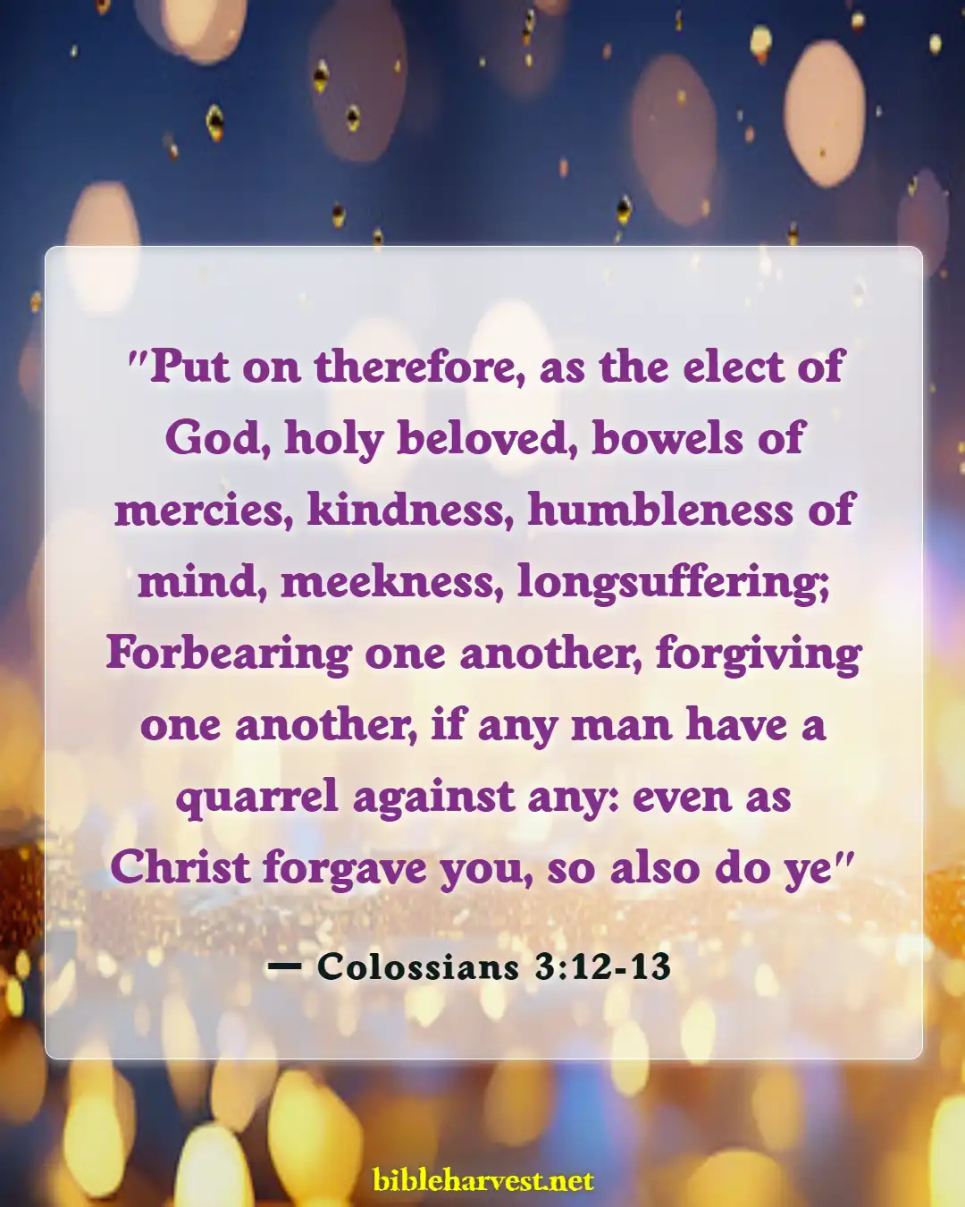 Bible Verses About Arrogance (Colossians 3:12-13)