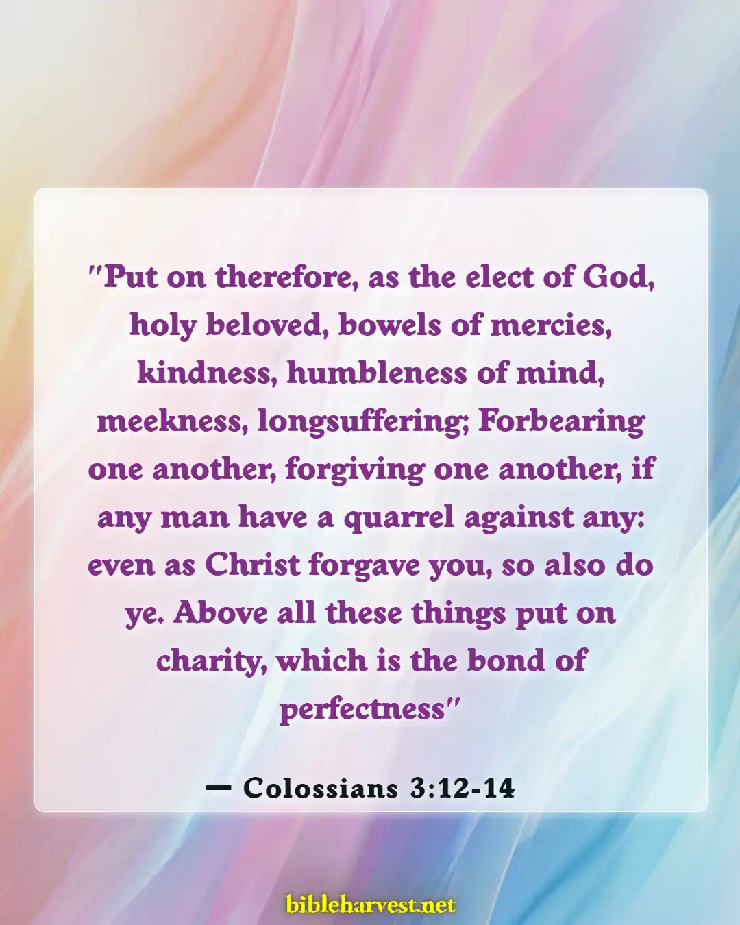 Bible Verses About Commitment To Serve God (Colossians 3:12-14)