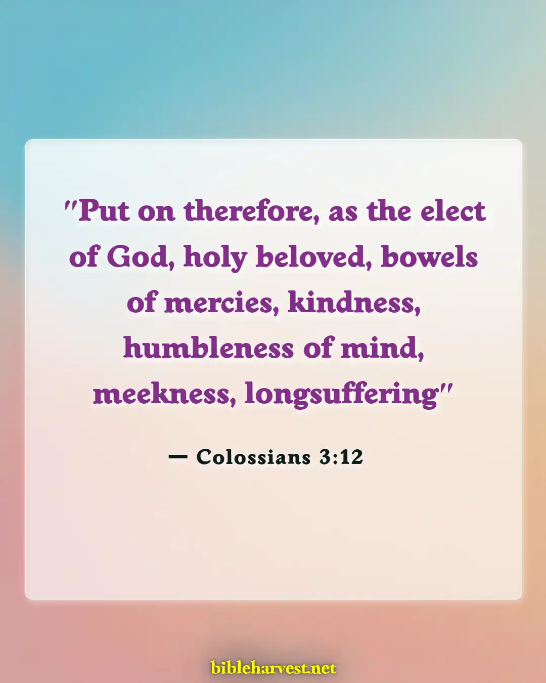 Bible Verses About Adoption (Colossians 3:12)