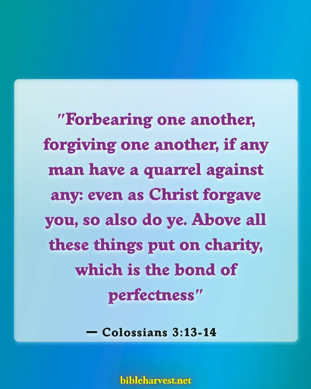 Bible Verses About Love Your Brothers And Sisters In Christ (Colossians 3:13-14)