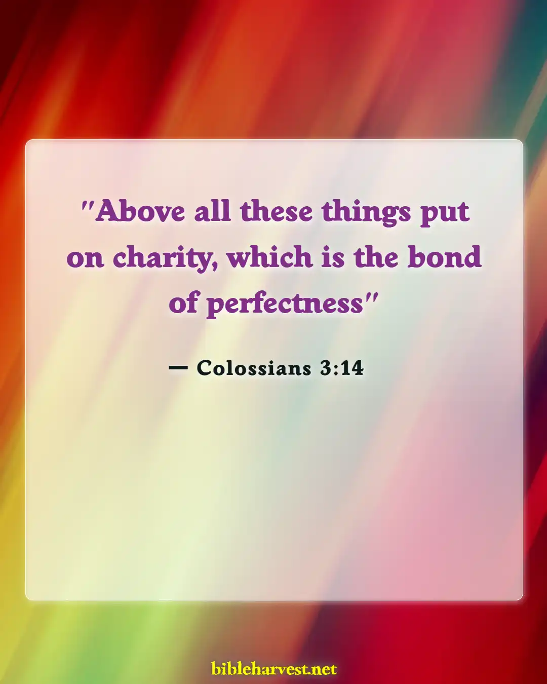 Bible Verses About Family (Colossians 3:14)