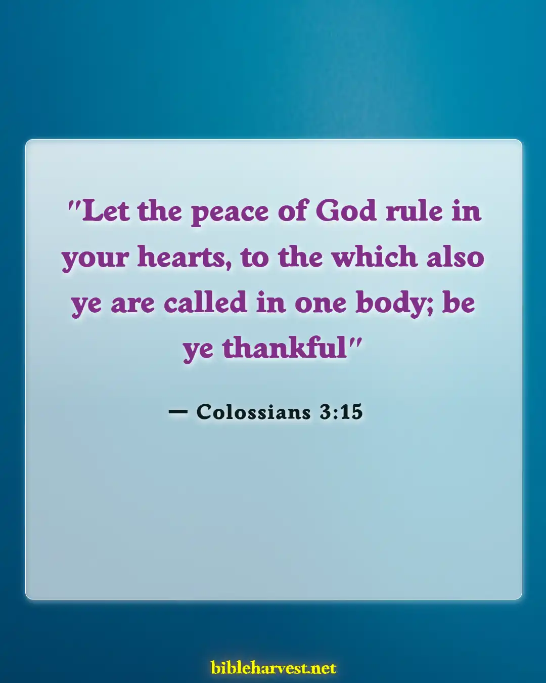 Bible Verses About Hope For The Future (Colossians 3:15)