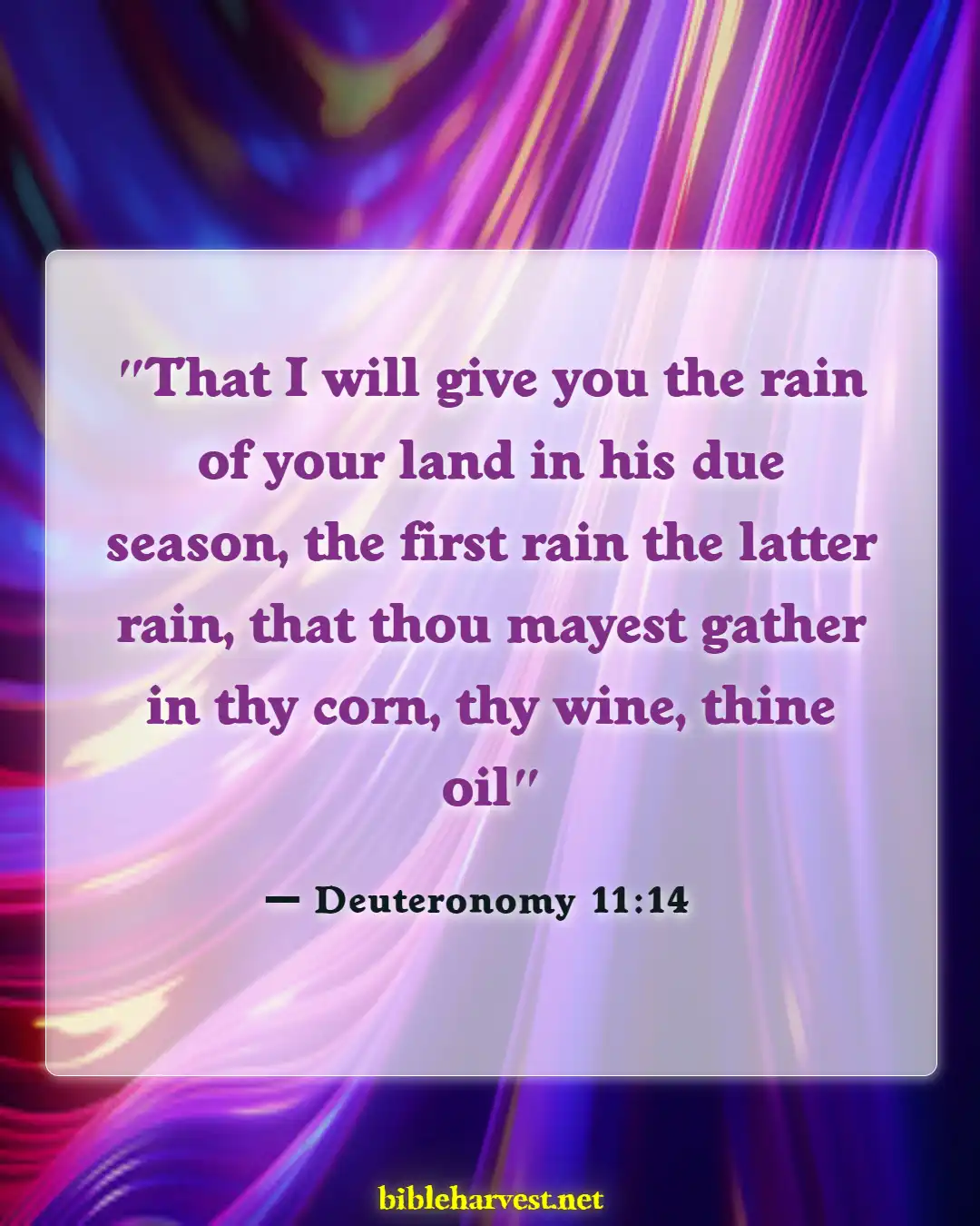 Bible Verses About Fall (Deuteronomy 11:14)