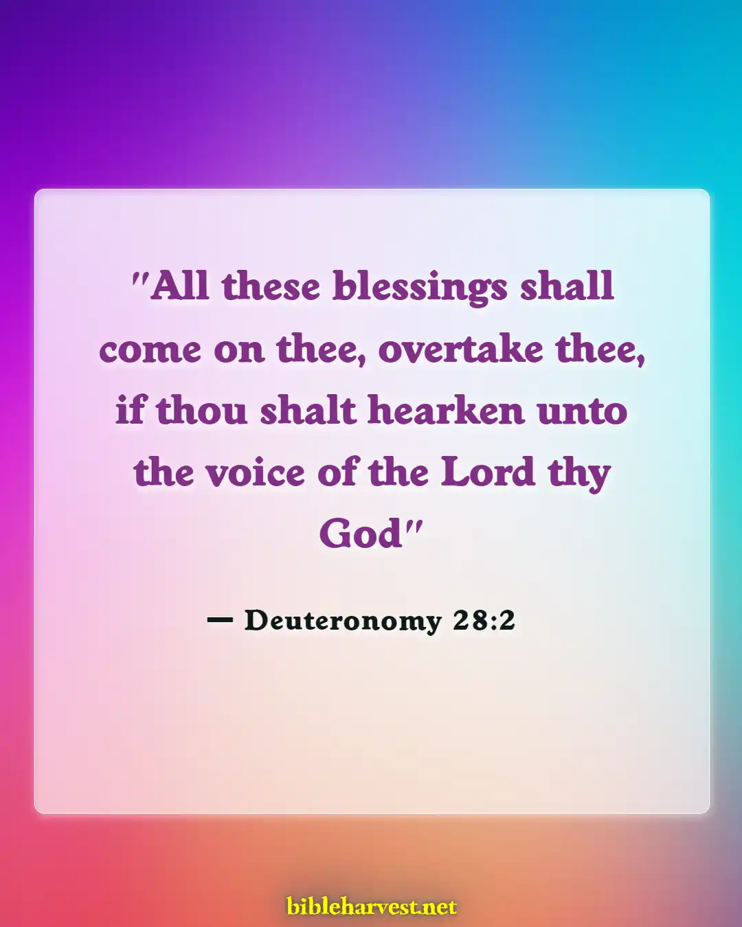 Bible Verses About Hope Patience For Good Blessed (Deuteronomy 28:2)