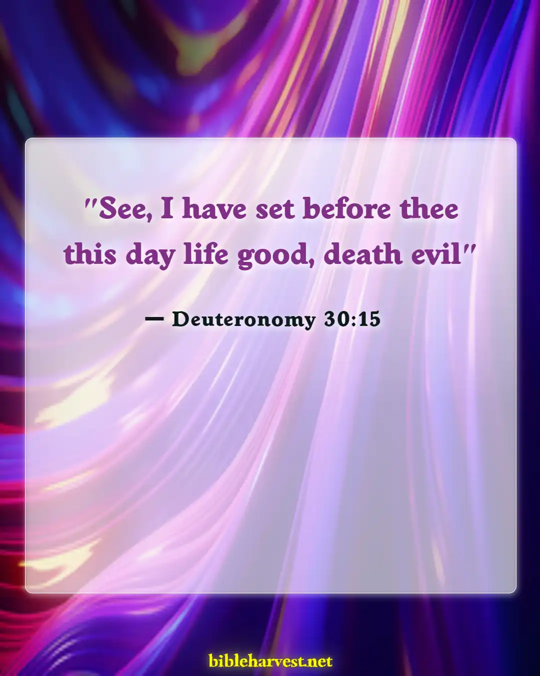 Bible Verses About God Give Us Freedom Of Choice (Deuteronomy 30:15)