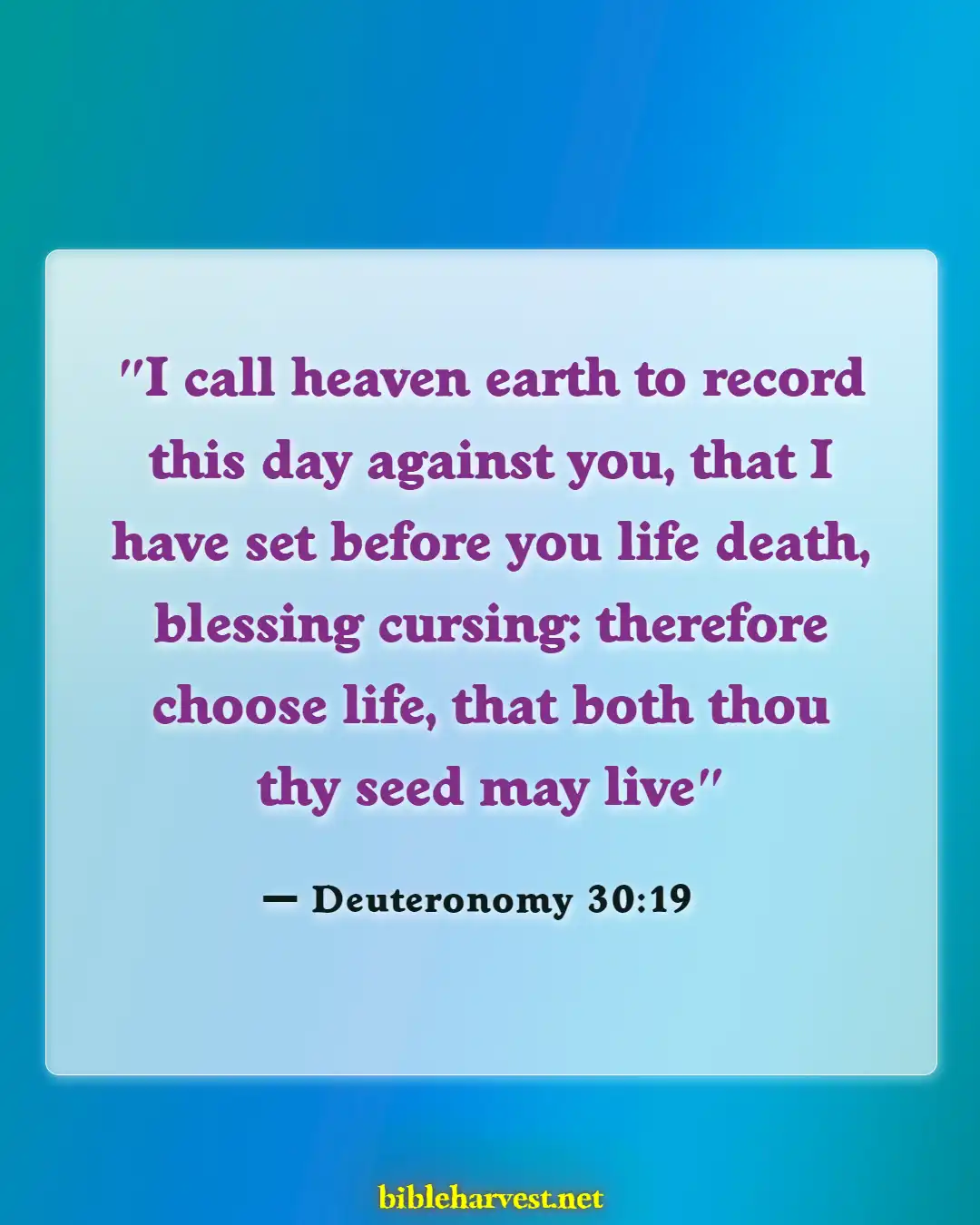 Bible Verses About Eternal Death (Deuteronomy 30:19)
