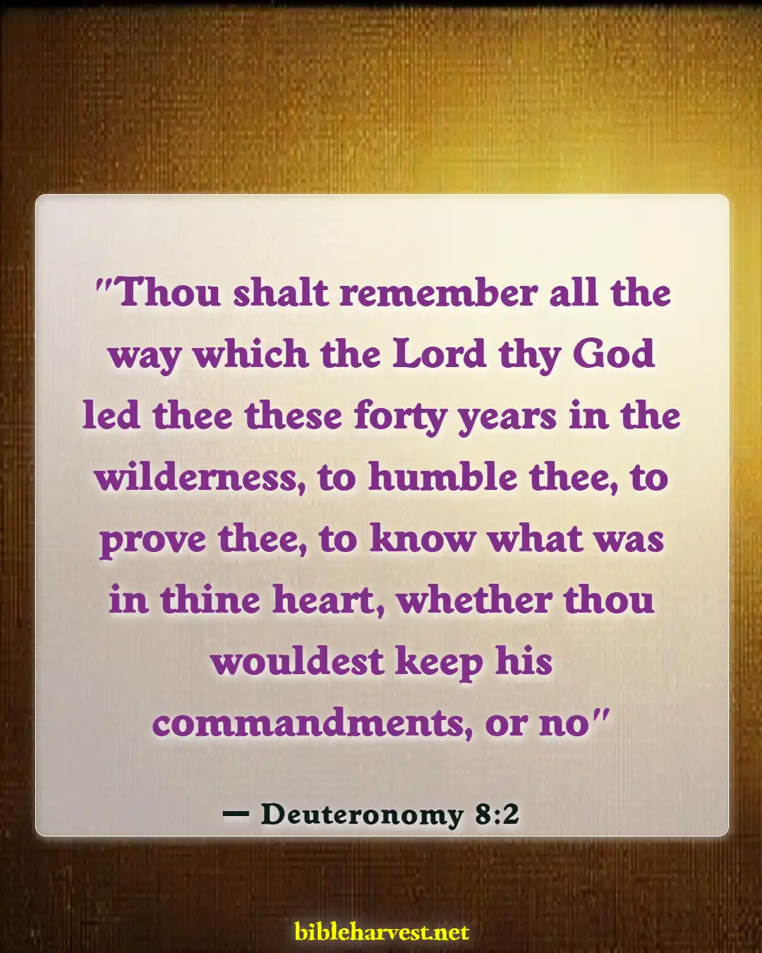 Bible Verses About God Testing Us (Deuteronomy 8:2)