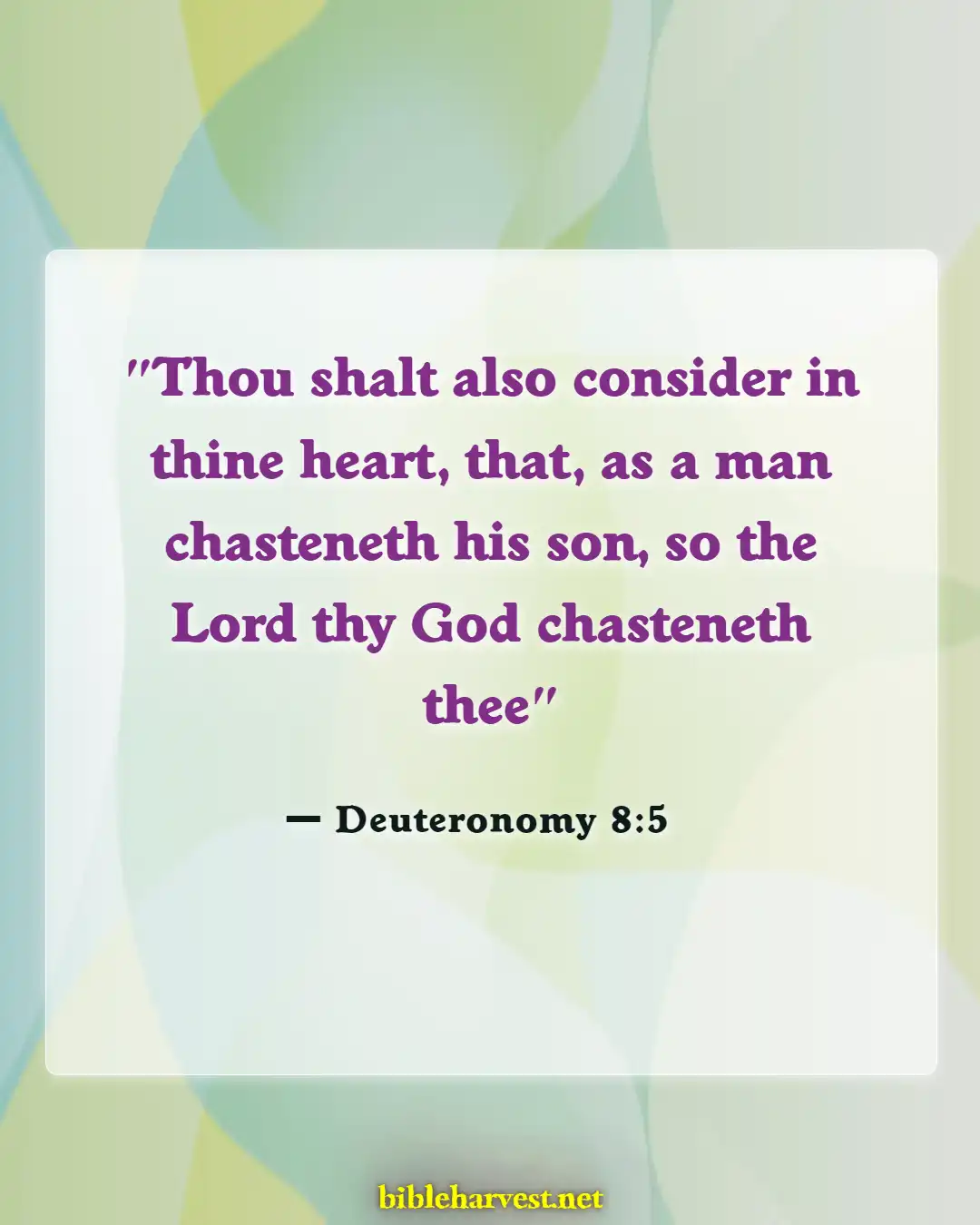 Bible Verses About Punishment (Deuteronomy 8:5)
