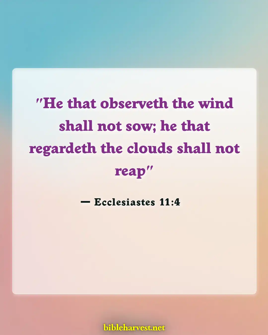Bible Verses About Procrastination (Ecclesiastes 11:4)
