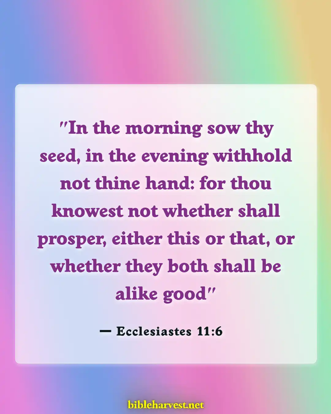 Bible Verses About Procrastination (Ecclesiastes 11:6)