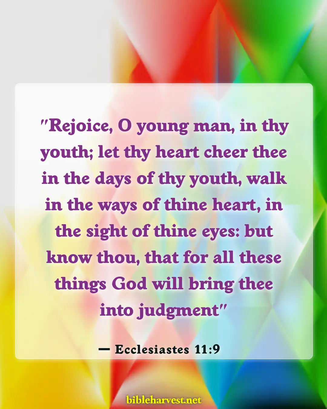 Bible Verses About Fun (Ecclesiastes 11:9)