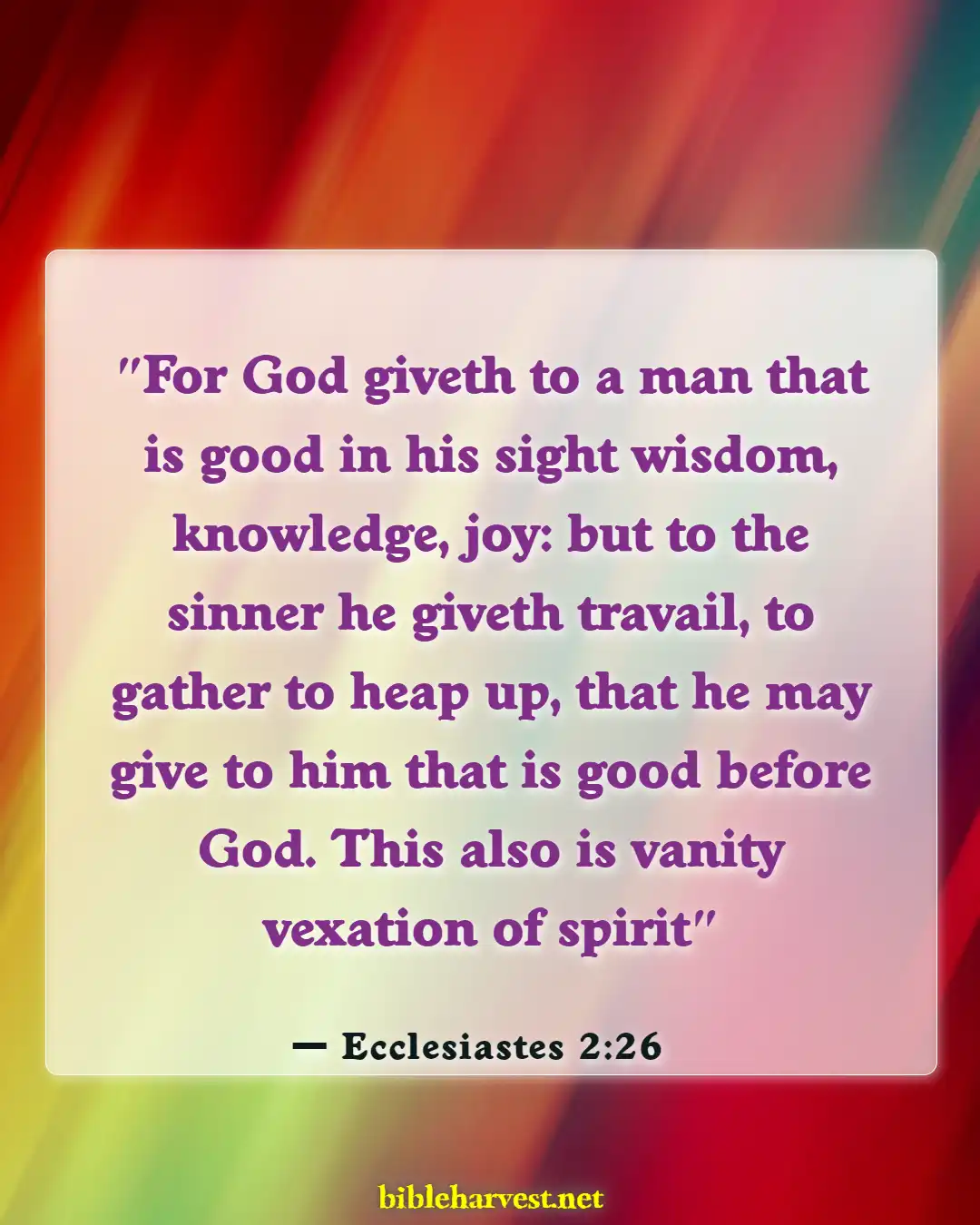 Bible Verses About Age And Wisdom (Ecclesiastes 2:26)