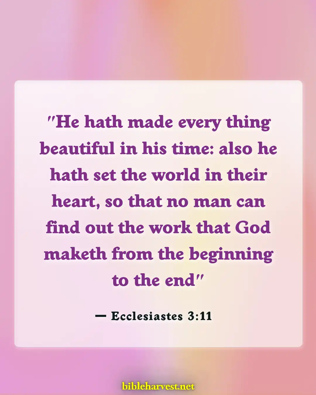 Bible Verses About God's Timing (Ecclesiastes 3:11)