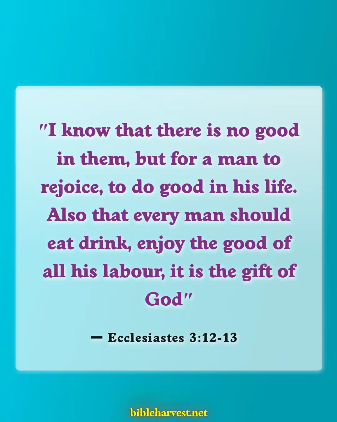 Bible Verses About Accomplishments (Ecclesiastes 3:12-13)