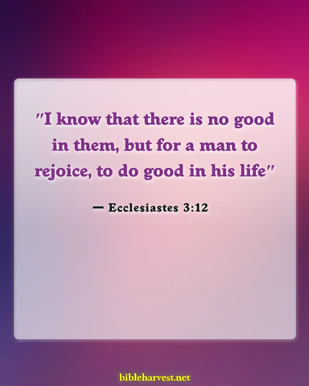 Bible Verses About Fun (Ecclesiastes 3:12)