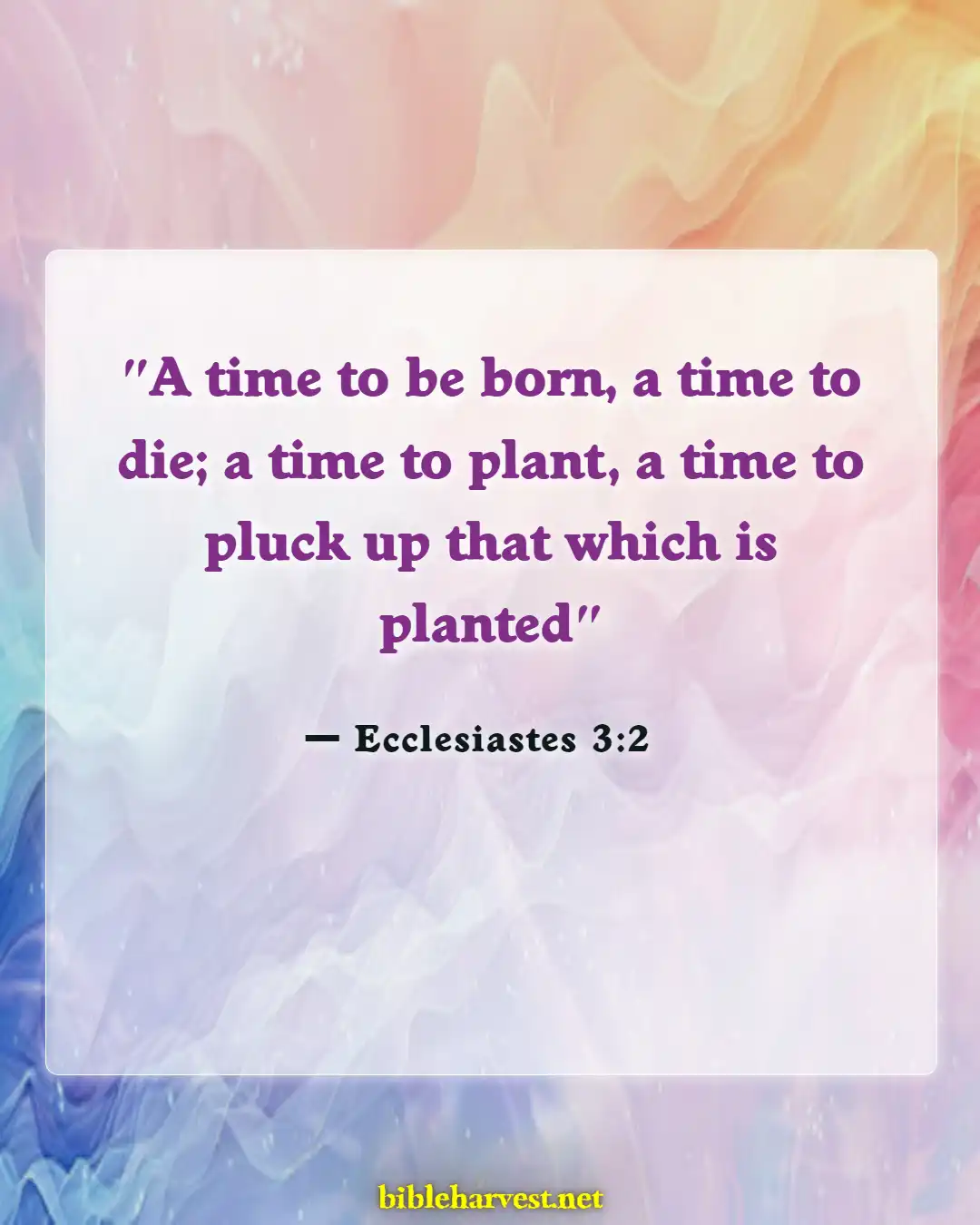 Bible Verses About Time For Everything (Ecclesiastes 3:2)