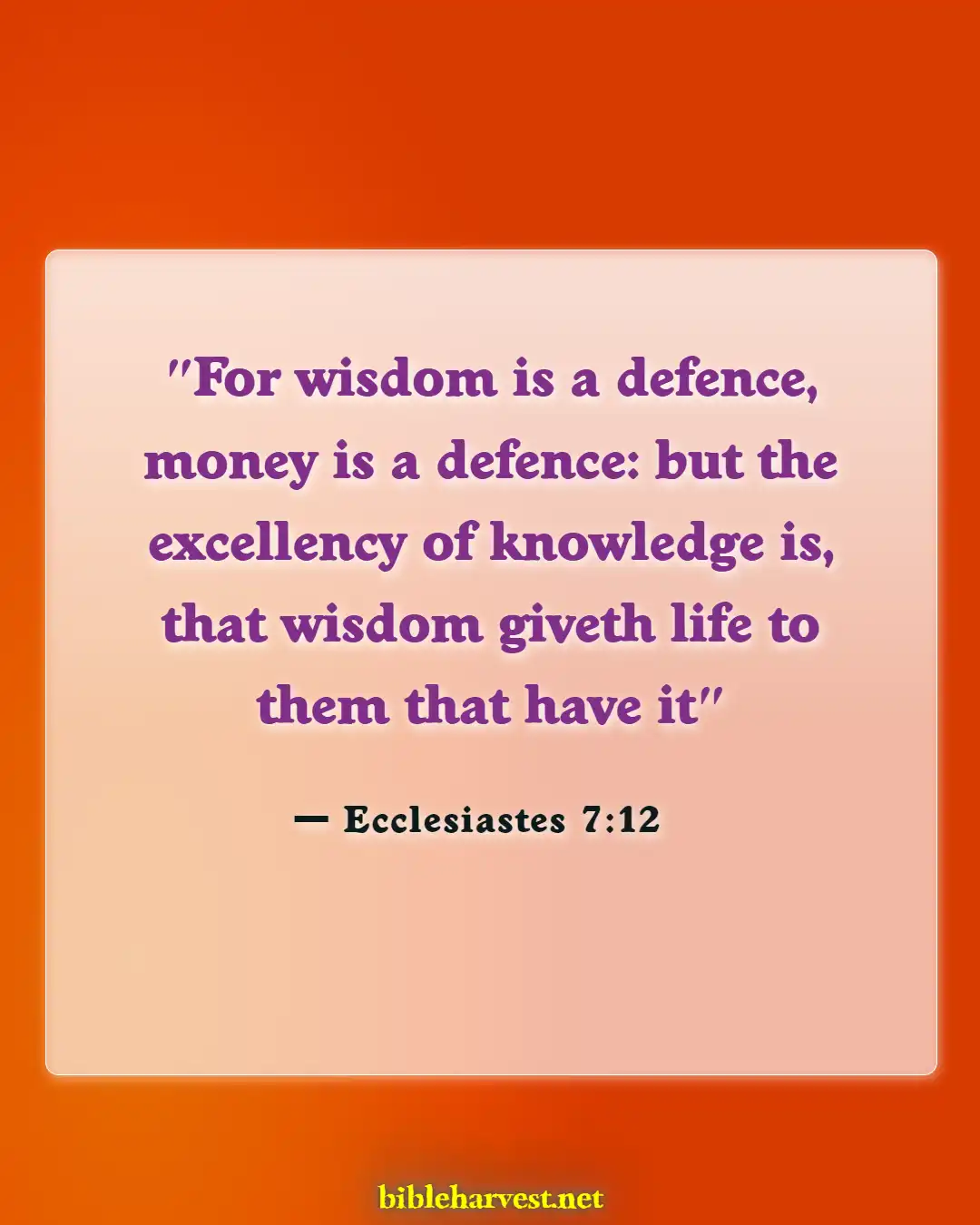 Bible Verses About Importantss (Ecclesiastes 7:12)