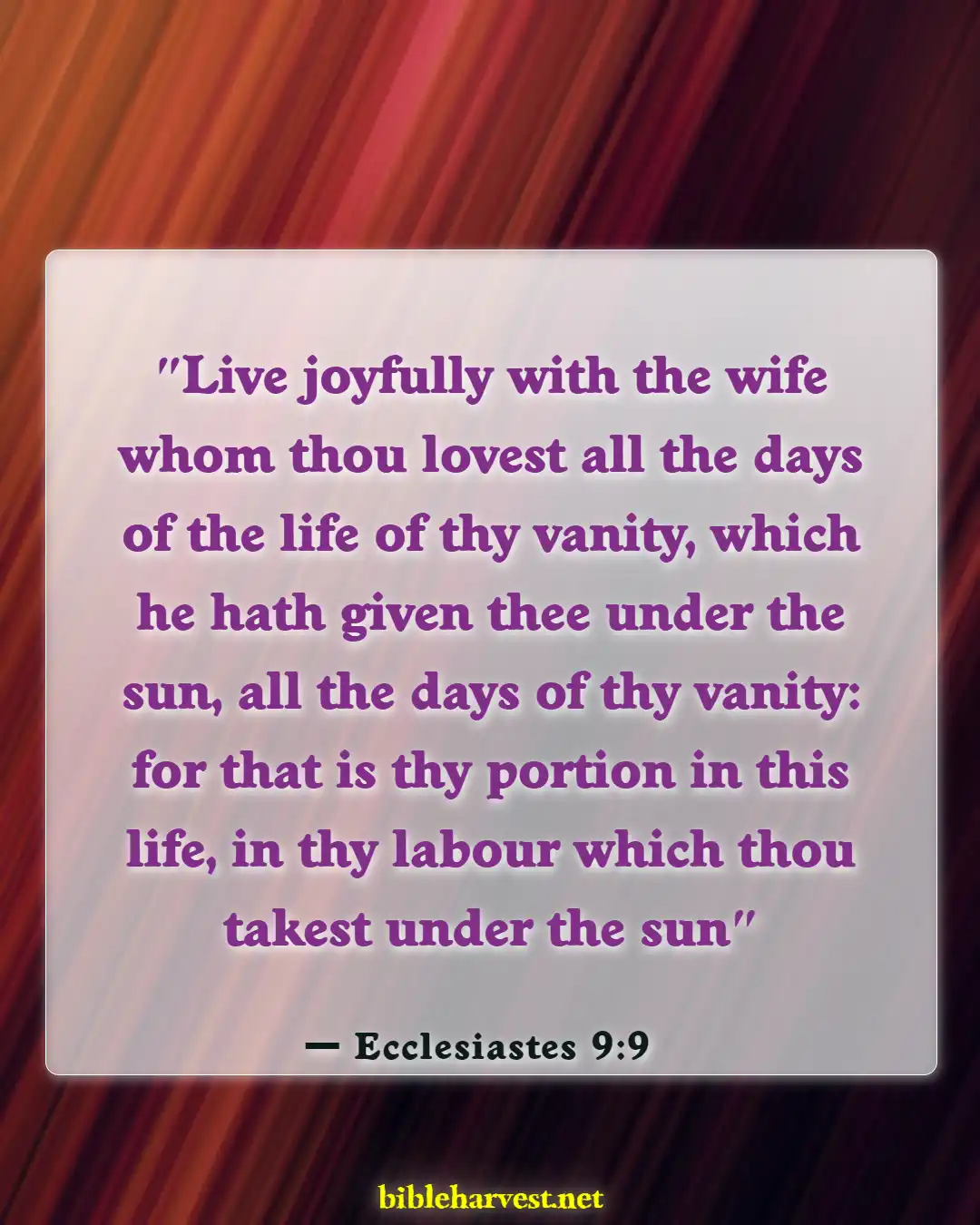 Bible Verses About A Good Husband (Ecclesiastes 9:9)