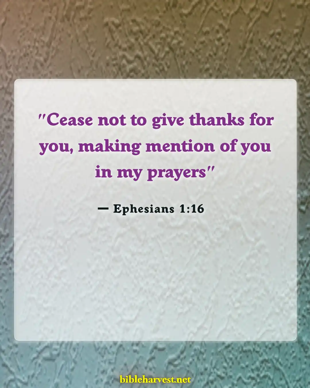 Bible Verses About A Good Friend Is A Blessing From God (Ephesians 1:16)