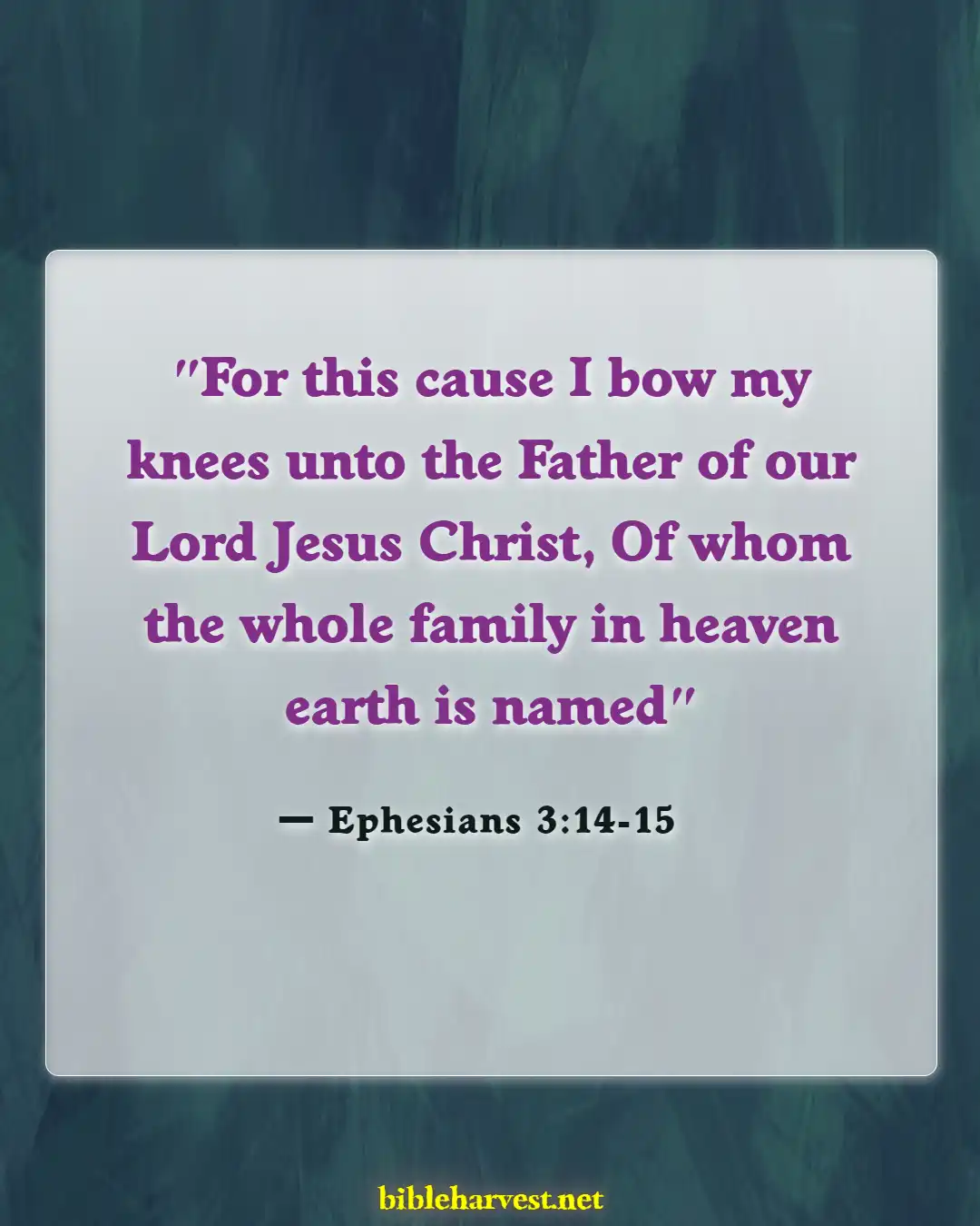 Bible Verses About Family Happiness (Ephesians 3:14-15)