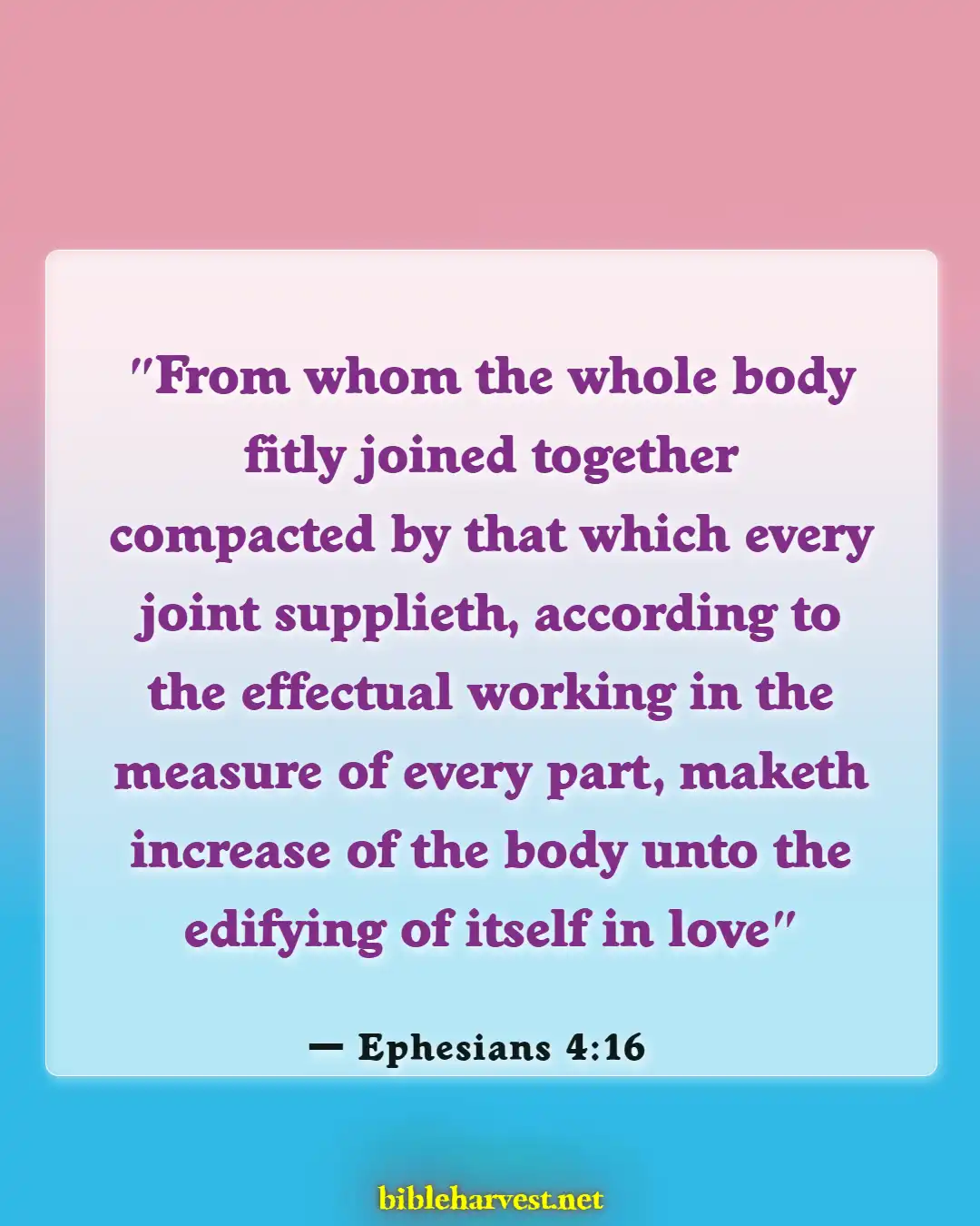 Bible Verses About Fellowship (Ephesians 4:16)
