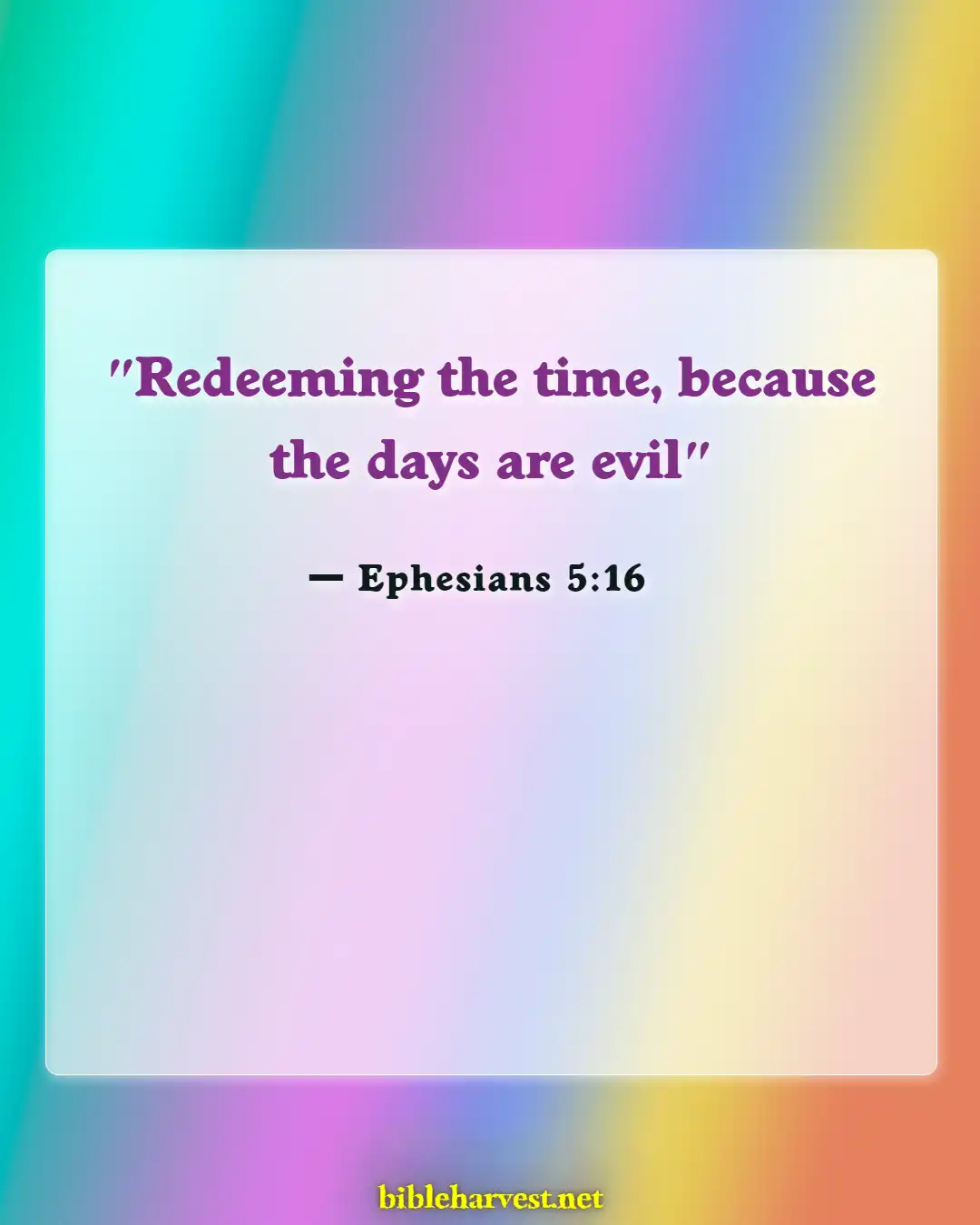 Bible Verses About Tuesday (Ephesians 5:16)