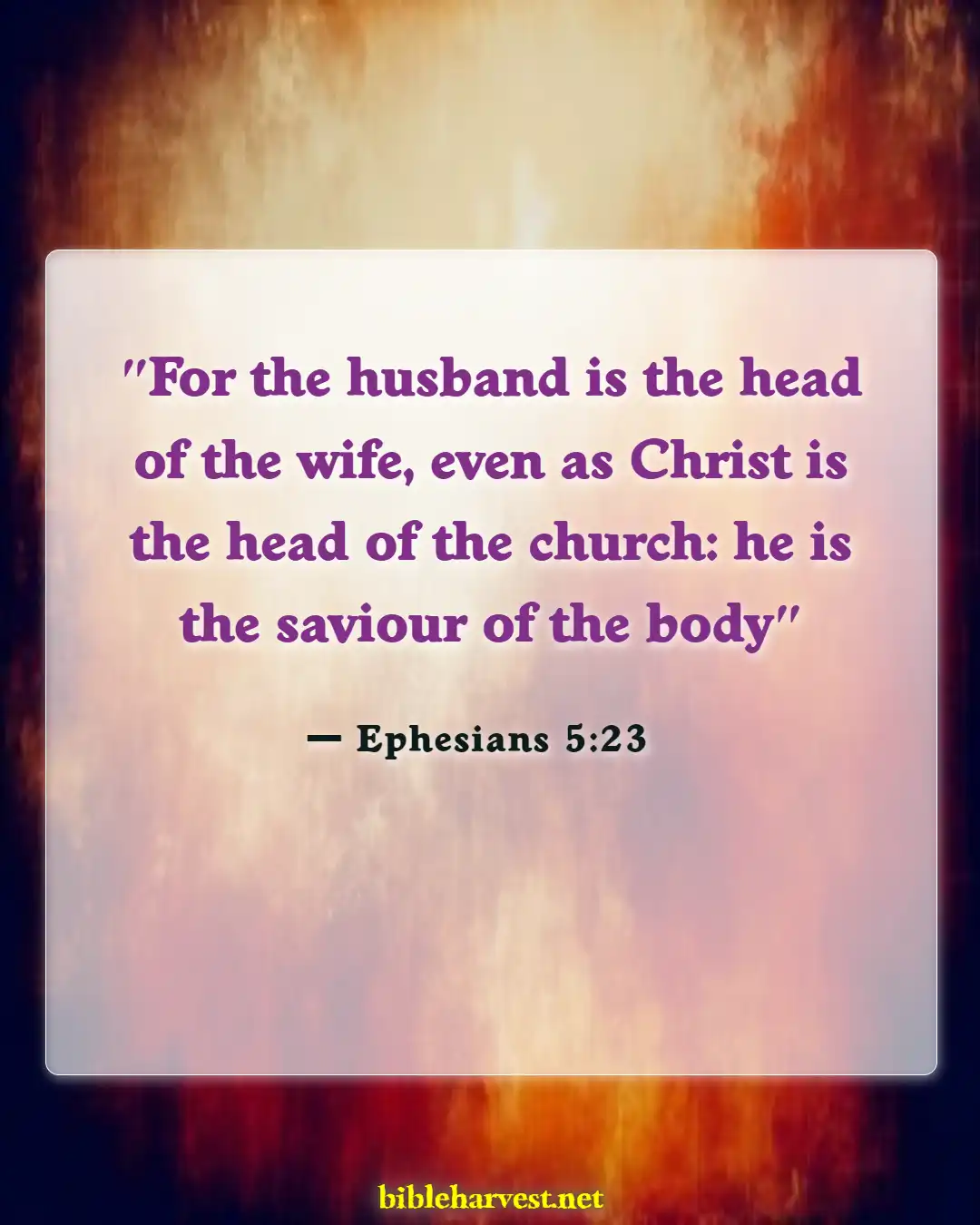 Bible Verses About A Good Husband (Ephesians 5:23)