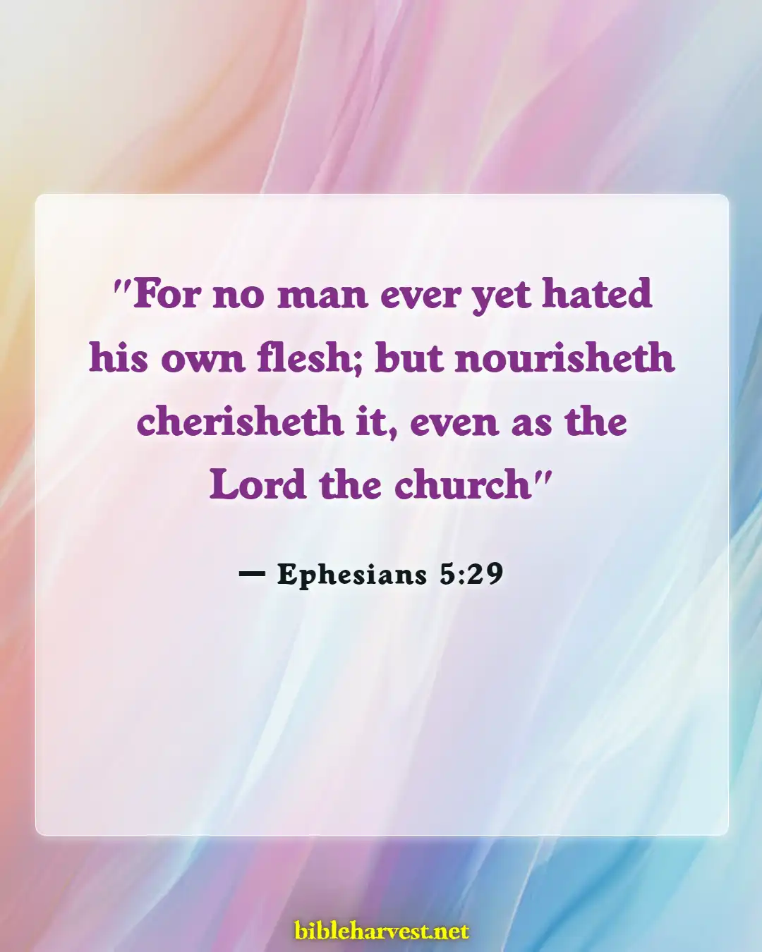 Bible Verses About Respecting Your Body (Ephesians 5:29)