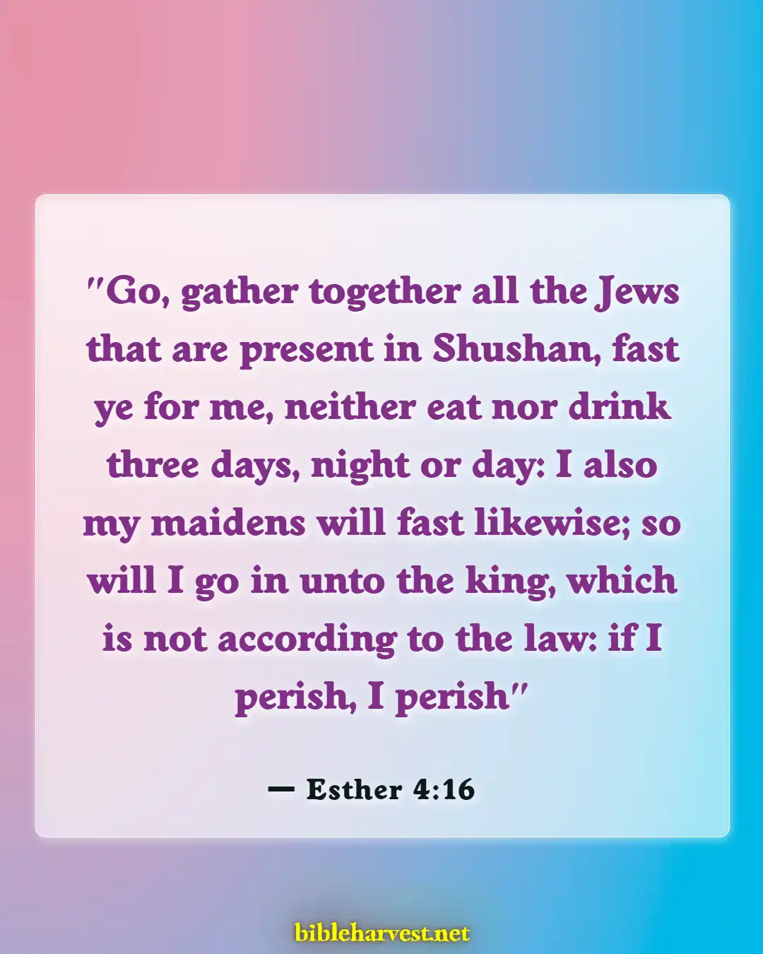 Bible Verses About Doing The Right Thing (Esther 4:16)