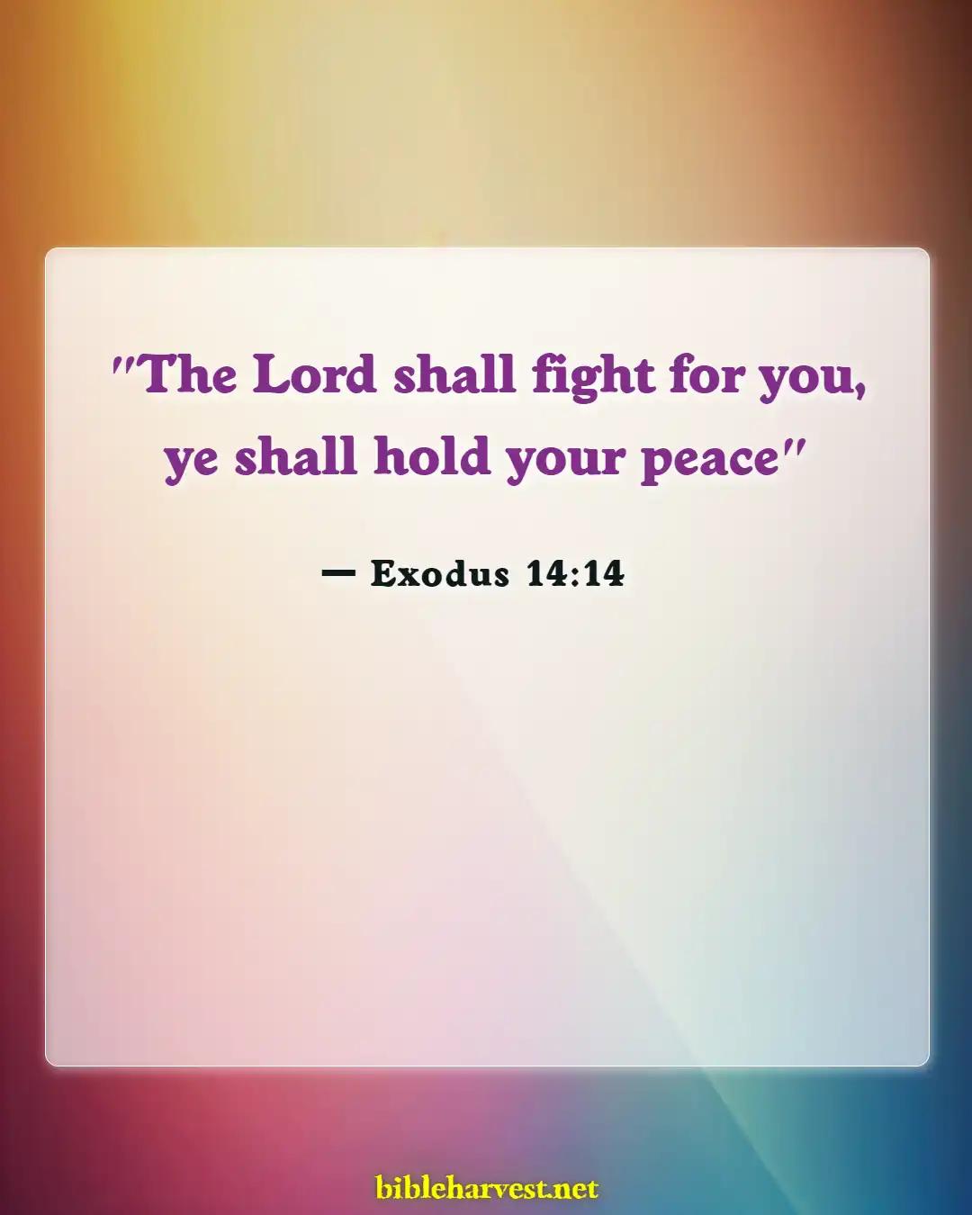 Bible Verses About Anxiety (Exodus 14:14)