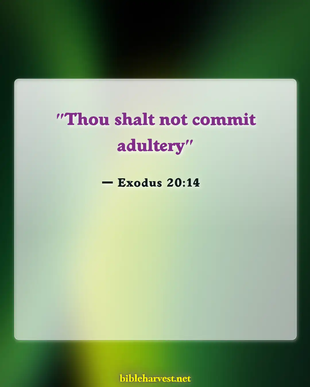 Bible Verses About Cheating Husband (Exodus 20:14)